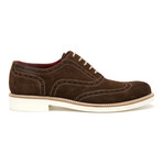 Alexander 1910 // Jardo Suede Brogue // Dark Brown (US: 7)