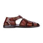 Buckle Sandals // Dark Brown (Euro: 44)