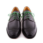 Dress Laces // Green + Gold (Silver)