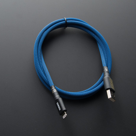 Statement WKW iPhone Cable // Blue