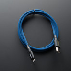 Statement WKW iPhone Cable // Blue