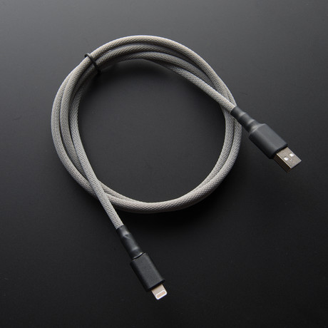 Statement WKW iPhone Cable  // Grey