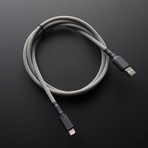 Statement WKW iPhone Cable  // Grey