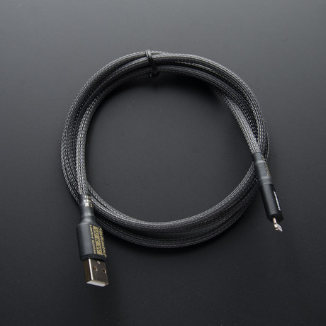 Statement WKW iPhone Cable // Carbon