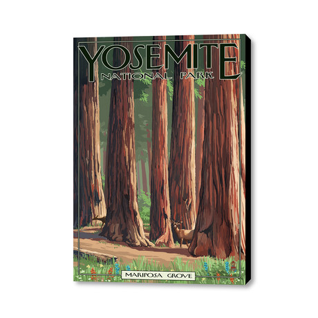 Yosemite National Park // Mariposa Grove