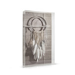 Paloma Dreamcatcher // Acrylic Frame