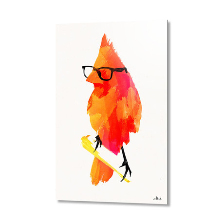Punk Bird (16"W x 24"H x 1.5"D // Stretched Canvas)