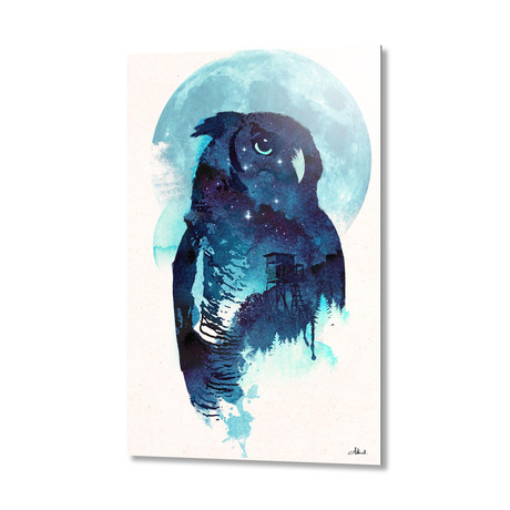 Midnight Owl (16"W x 24"H x 1.5"D // Stretched Canvas)