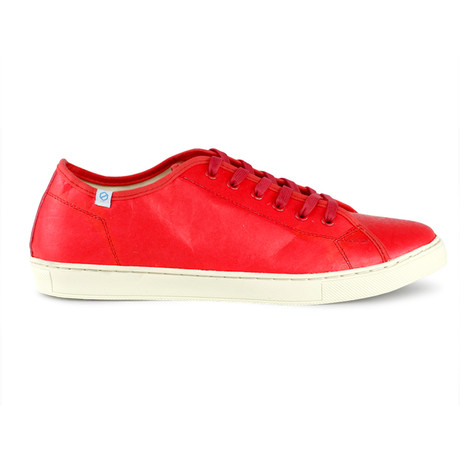 Light Wing Franklin Low Top // Red (US: 7)