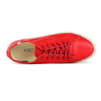 Light Wing Franklin Low Top // Red (US: 8.5)
