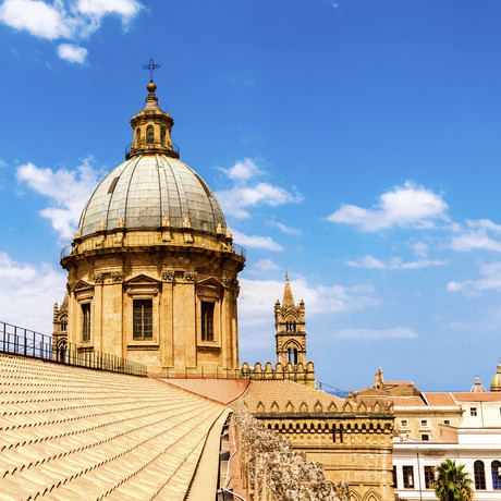 Cathedral of Palermo // Rooftop View // Sicily (4 Panels // 100"L x 100"W)