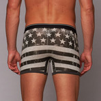 Boxer Briefs // Patriotic // 3 Pack (S)