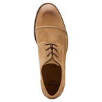 Exton Cap Oxford // Taupe Suede (US: 7)