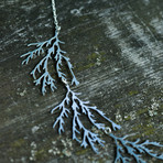 Filament Necklace