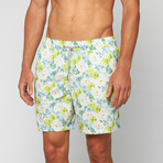 Marbella Swim Trunk // Lime + Sea Green (L)