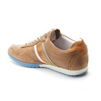 Crash // Sandshell (Euro: 44)