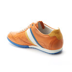 Crash // Golden Poppy (Euro: 44)