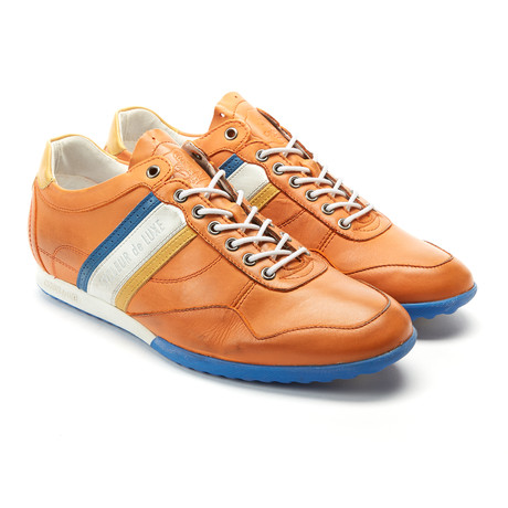 Crash // Golden Poppy (Euro: 44)