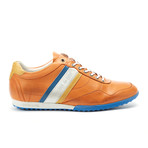 Crash // Golden Poppy (Euro: 44)