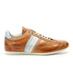 Crush City // Adobe Cognac (Euro: 45)