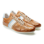 Crush City // Adobe Cognac (Euro: 45)