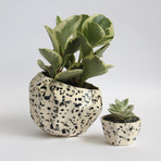 Hexo Planter (White)