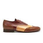 Tri-Colored Brogue // Cigar Multi (Euro: 44)