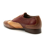 Tri-Colored Brogue // Cigar Multi (Euro: 44)