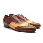 Tri-Colored Brogue // Cigar Multi (Euro: 44)