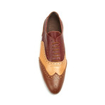 Tri-Colored Brogue // Cigar Multi (Euro: 44)