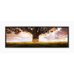 Tree Of Life