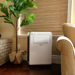 NewAir Portable Air Conditioner