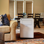 NewAir Portable Air Conditioner