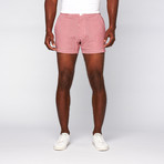 4" Inseam Seersucker Shorts // Red + White (34WX32L)