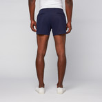 4" Inseam Twill Shorts // Navy (29WX32L)