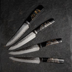 Steak Knife // Mammoth Molar + Onyx // Set of 4