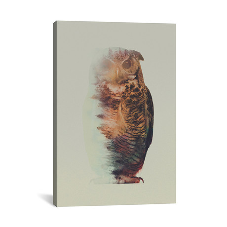 Owl // Andreas Lie