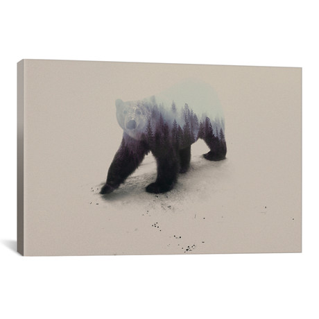 Polar Bear (26"W x 18"H x 0.75"D)