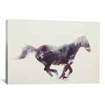 Horse I // Andreas Lie (26"W x 18"H x 0.75"D)