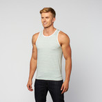Duo-Color Stripe Knit Tank // Mint + White (S)