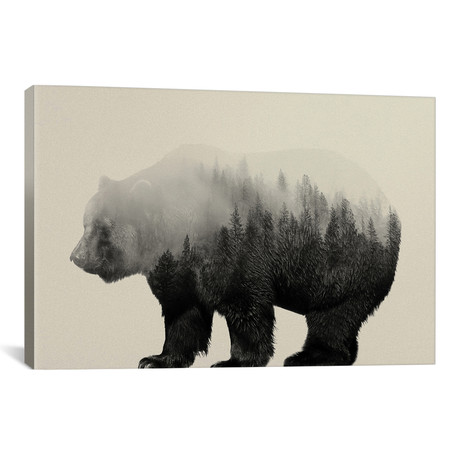 Bear in the Mist // Andreas Lie (26"W x 18"H x 0.75"D)