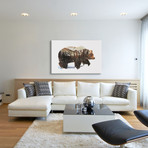 Arctic Grizzly Bear // Andreas Lie (40"W x 26"H x 0.75"D)