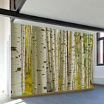 Birch Forest Wall Mural Decal (4 Panels // 93" Width)