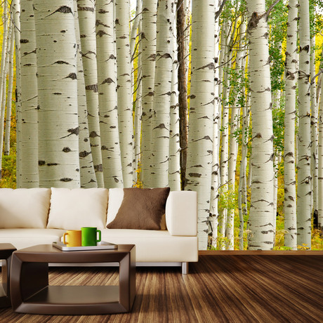 Birch Forest Wall Mural Decal (4 Panels // 93" Width)