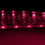 Altbee Desire Minicruiser LED Skateboard // Blue