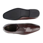 Emerson Calf Leather Derby // Brown (Euro: 42)