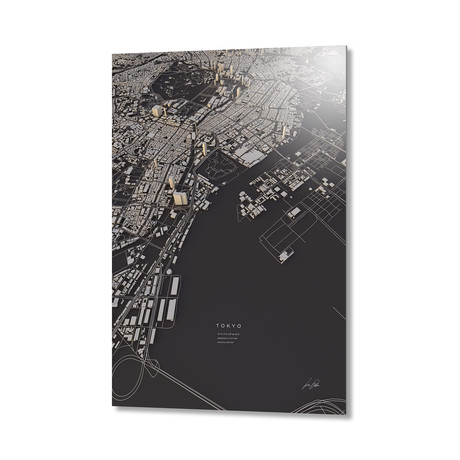 Tokyo City Map // Aluminum Print (16"L x 24"H)