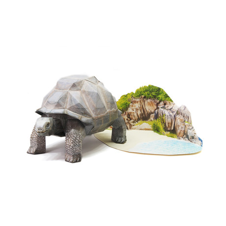 Aldabran Tortoise