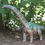 Brachiosaurus