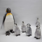 Emperor Penguin